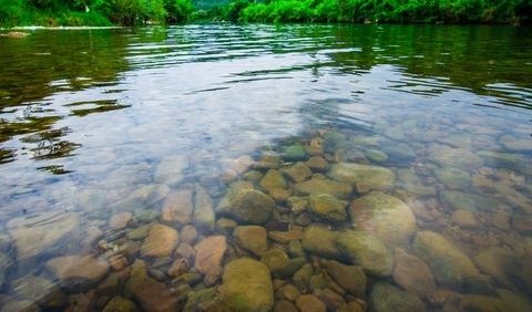 水質常規五項檢測哪些內容？